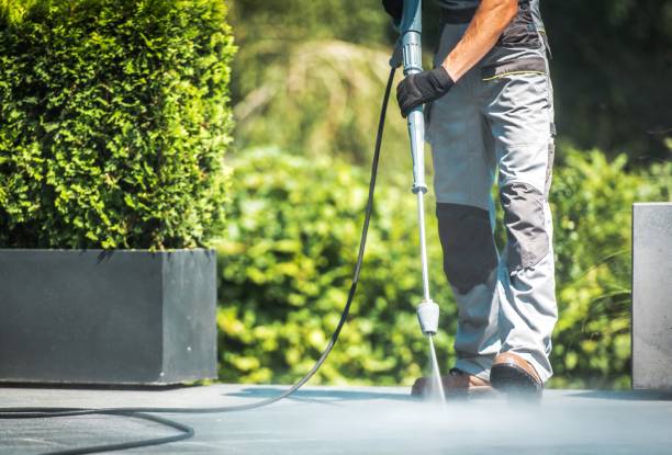 Best Building Exterior Pressure Washing in Rural Hall, NC