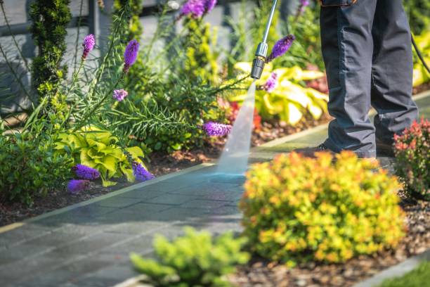 Best Driveway Cleaning and Restoration in Rural Hall, NC