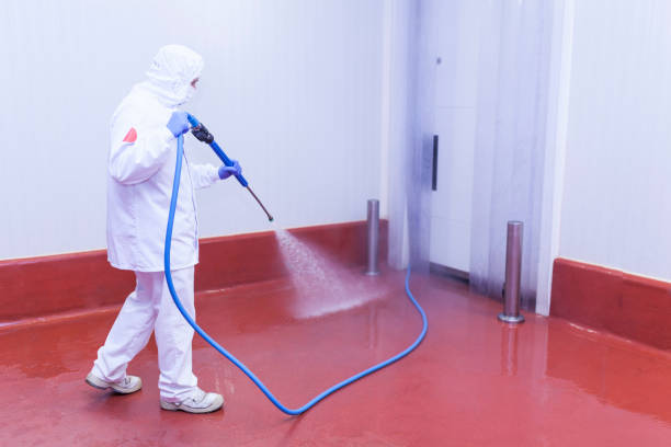Best Vinyl Siding Pressure Washing in Rural Hall, NC